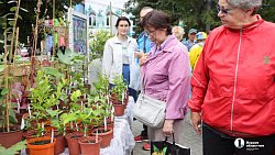 Городская выставка цветов и плодов прошла в Челябинске