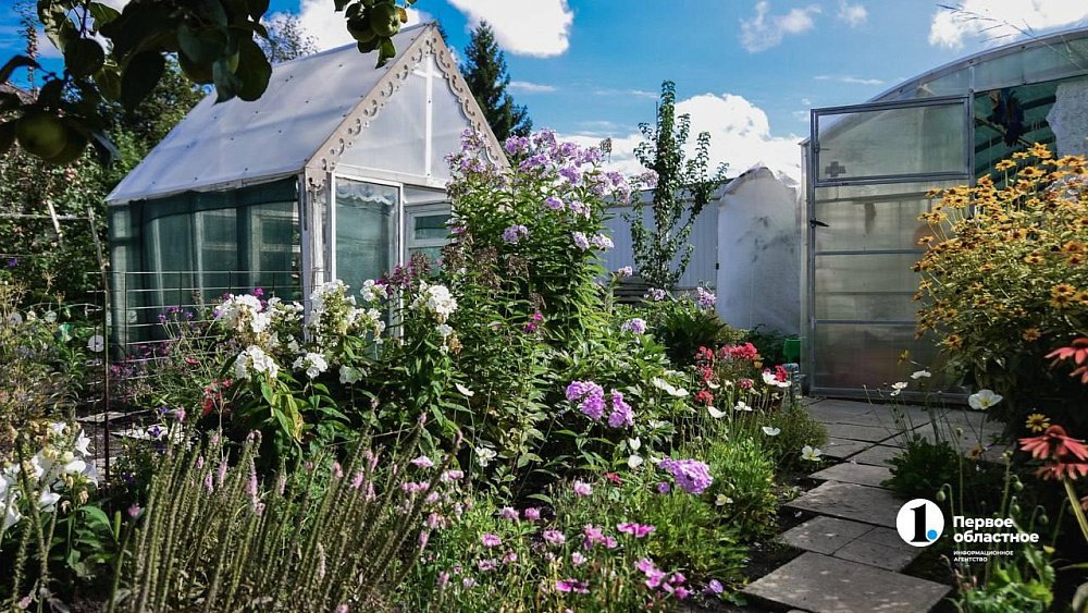 Челябинка создает сообщества из диких и культурных растений на участке СНТ 