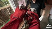 В челябинском зоопарке игрунка родила «королевскую двойню»