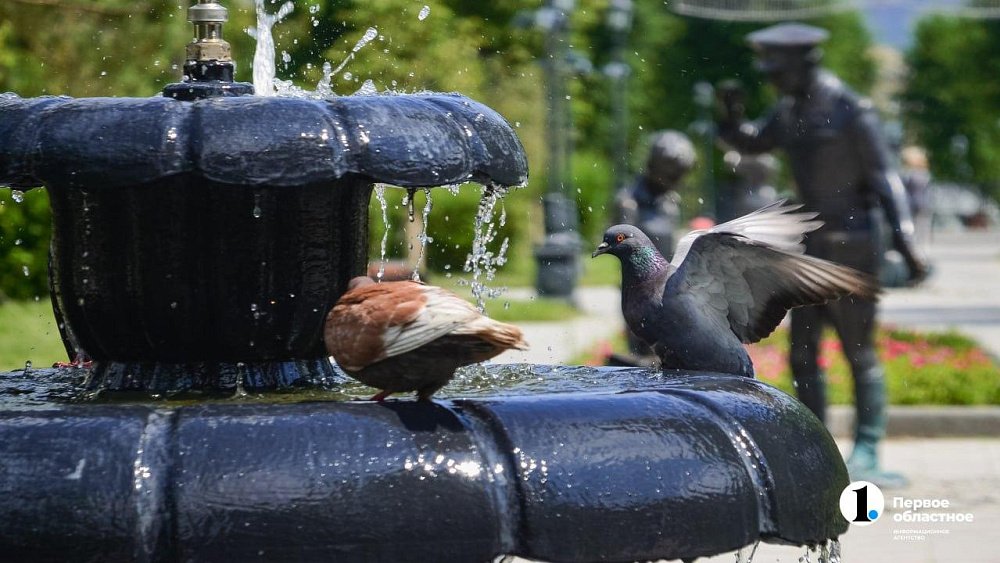 До +27 градусов раскалится воздух в Челябинской области 18 августа