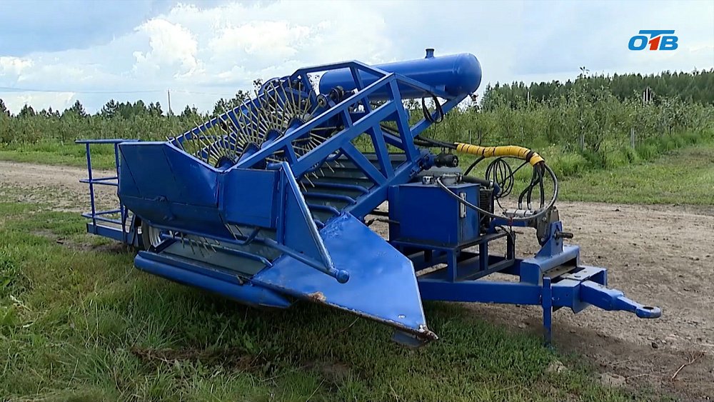 Каслинские фермеры протестировали первый российский комбайн для уборки ягод