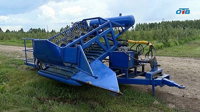 Каслинские фермеры протестировали первый российский комбайн для уборки ягод