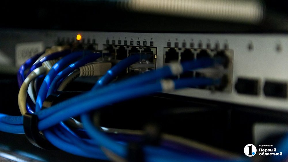 Кабель снова в топе: «билайн бизнес» фиксирует рост спроса на проводной интернет