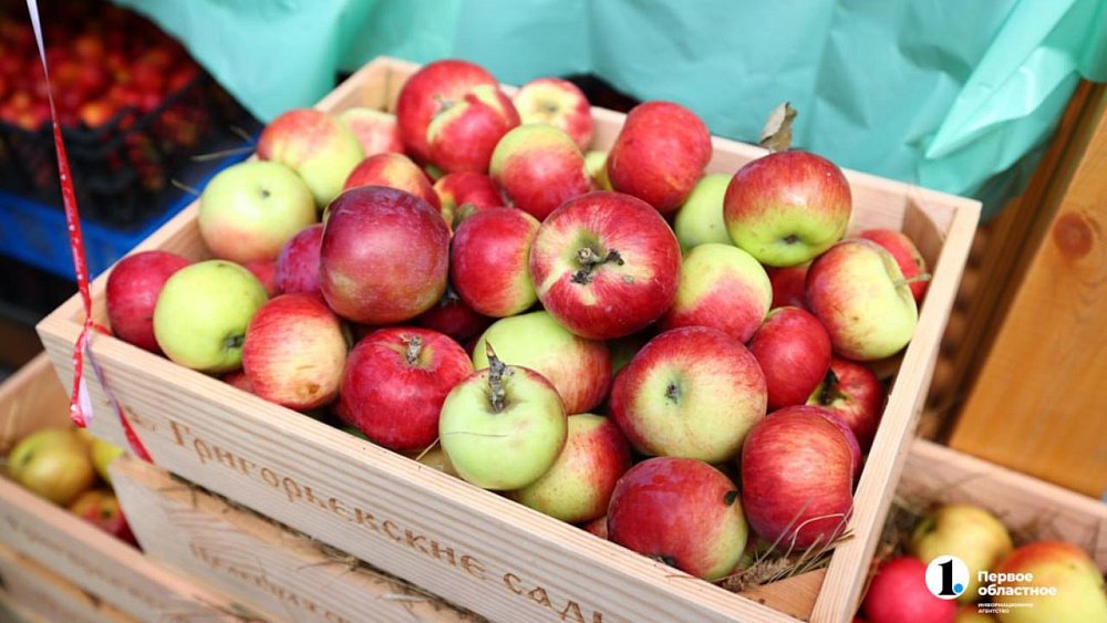 В Челябинской области в этом году ожидается рекордный урожай яблок