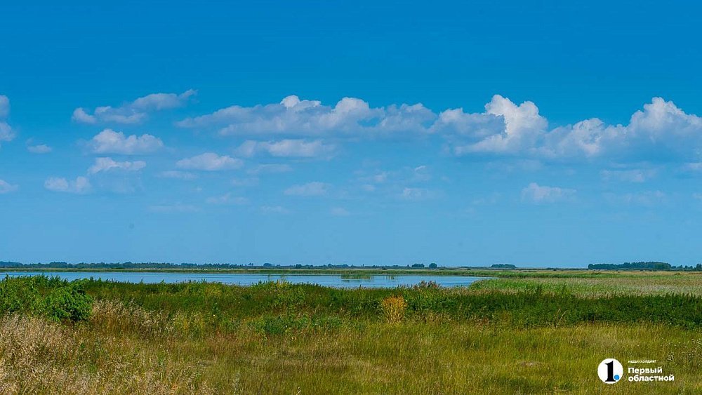 Кунашакский округ отмечает 95‑летие