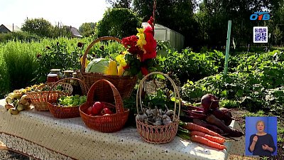 Ученики Теченской агрошколы собирают урожай