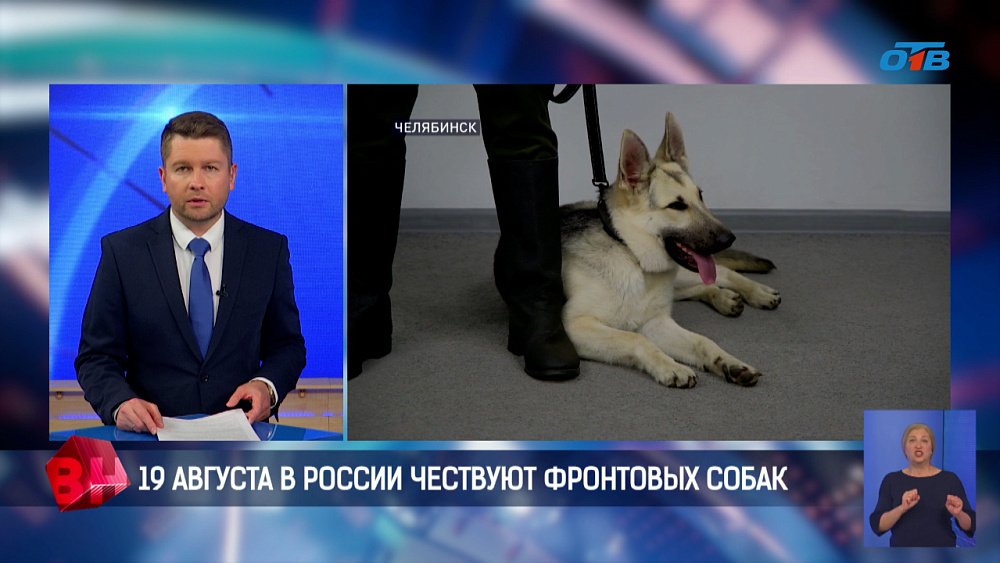 Юным челябинцам рассказали о современных четвероногих героях