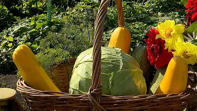 В Челябинской области дети получают практические знания в агроклассе