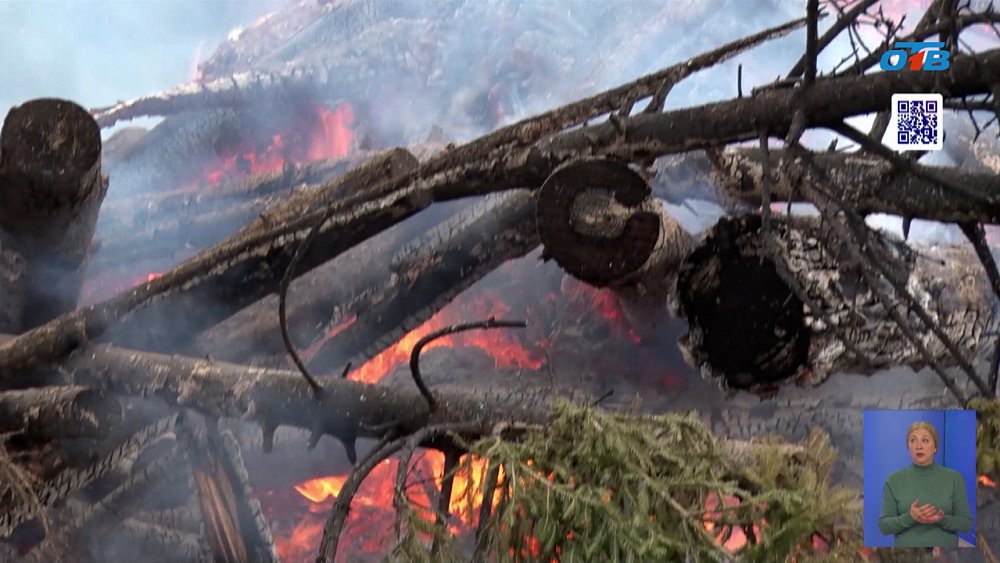 В Нязепетровске проводят санитарную вырубку