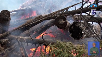 В Нязепетровске проводят санитарную вырубку