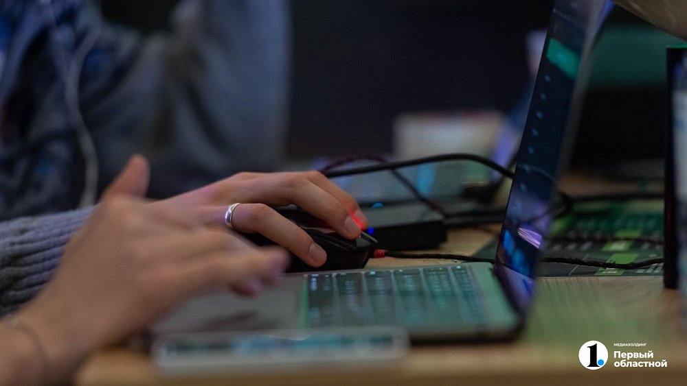 Билайн и Кибердом будут совместно развивать цифровую грамотность малого и среднего бизнеса