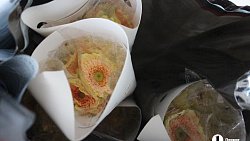 В Челябинск к 1 сентября привезли 7 тонн роз, гортензий и лилий из Китая