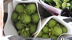 В Челябинск к 1 сентября привезли 7 тонн роз, гортензий и лилий из Китая