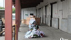 В Челябинск к 1 сентября привезли 7 тонн роз, гортензий и лилий из Китая