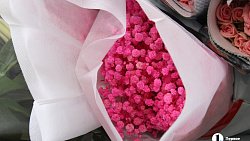 В Челябинск к 1 сентября привезли 7 тонн роз, гортензий и лилий из Китая