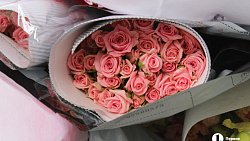 В Челябинск к 1 сентября привезли 7 тонн роз, гортензий и лилий из Китая