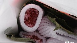 В Челябинск к 1 сентября привезли 7 тонн роз, гортензий и лилий из Китая