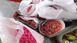 В Челябинск к 1 сентября привезли 7 тонн роз, гортензий и лилий из Китая