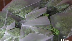 В Челябинск к 1 сентября привезли 7 тонн роз, гортензий и лилий из Китая