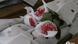 В Челябинск к 1 сентября привезли 7 тонн роз, гортензий и лилий из Китая