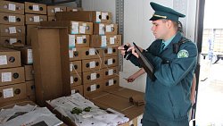 В Челябинск к 1 сентября привезли 7 тонн роз, гортензий и лилий из Китая