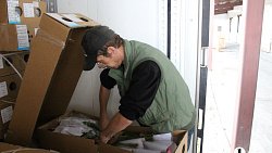 В Челябинск к 1 сентября привезли 7 тонн роз, гортензий и лилий из Китая