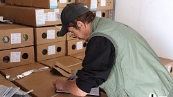 В Челябинск к 1 сентября привезли 7 тонн роз, гортензий и лилий из Китая