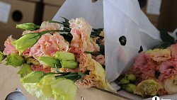 В Челябинск к 1 сентября привезли 7 тонн роз, гортензий и лилий из Китая