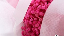 В Челябинск к 1 сентября привезли 7 тонн роз, гортензий и лилий из Китая