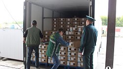 В Челябинск к 1 сентября привезли 7 тонн роз, гортензий и лилий из Китая