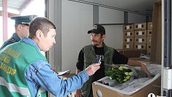 В Челябинск к 1 сентября привезли 7 тонн роз, гортензий и лилий из Китая