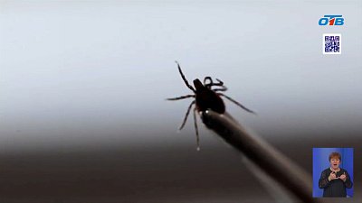 На Южном Урале началась вторая волна укусов клещей