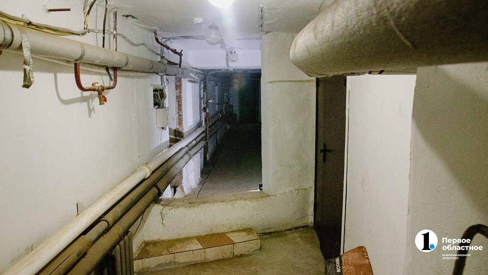 Полчища блох сорвали ремонт трубопровода в доме под Новосибирском 