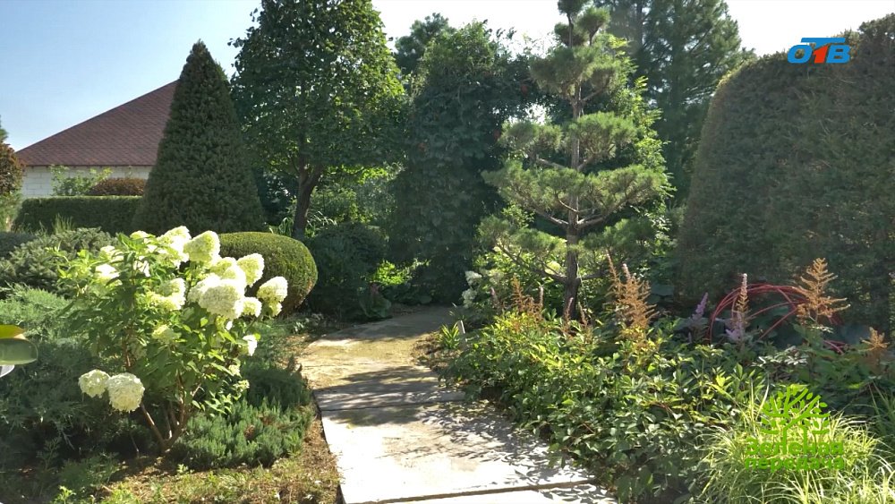 Ландшафтный дизайнер Татьяна Яринич рассказала, как создать сад мечты