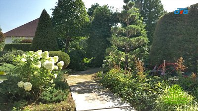 Ландшафтный дизайнер Татьяна Яринич рассказала, как создать сад мечты