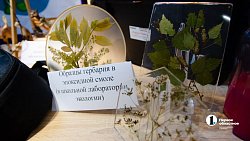 Челябинская область будет дружить муниципалитетами