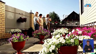 В Кыштыме подводят итоги конкурса цветов