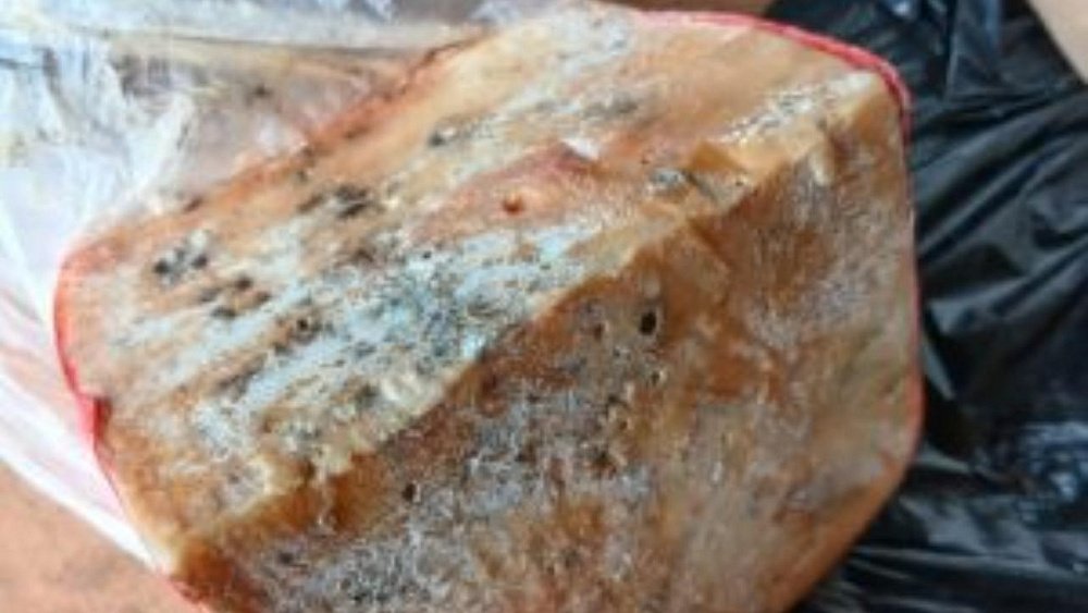 Более 8 кг санкционного сыра расплавили в печах в Челябинской области