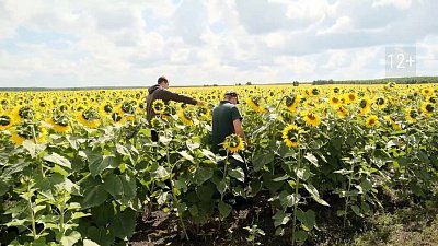 Первые итоги уборочной кампании в Челябинской области