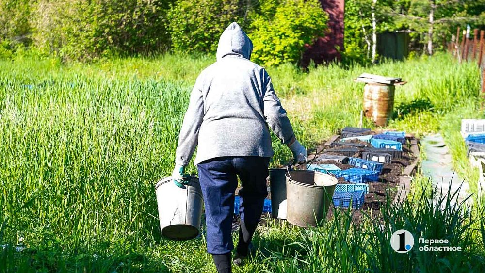 В Челябинске садоводы просят продлить работу сезонных автобусов до середины октября