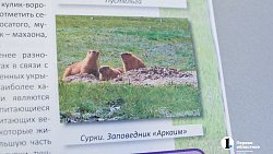 В Челябинске презентовали учебники по новому курсу «История нашего края»