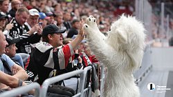 «Трактор» сыграл с «Амуром» в Кубке губернатора Челябинской области — 2025