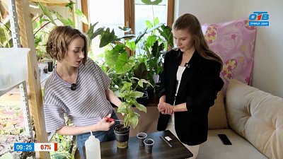 Любимые зеленые питомцы в сюжете «Увлеченный цветовод»