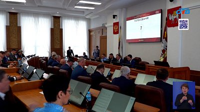 Депутаты Челябинской области приняли поправки в региональный закон