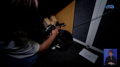 В Челябинске сотрудники ОТВ приютили потерявшуюся собаку