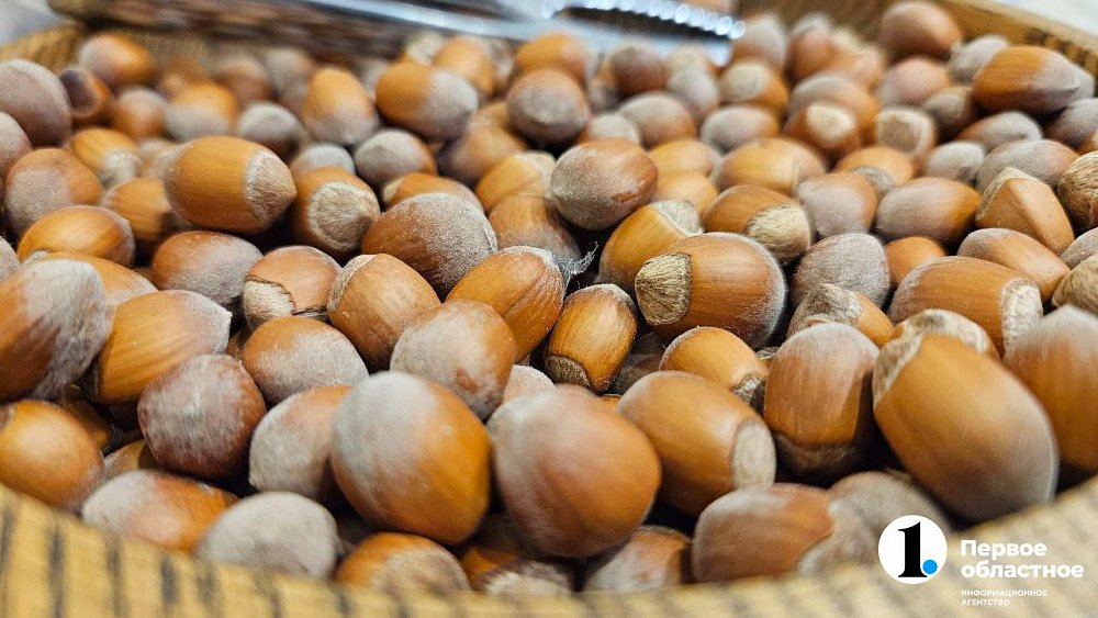 Жительница Челябинской области вырастила 13 кг орехов