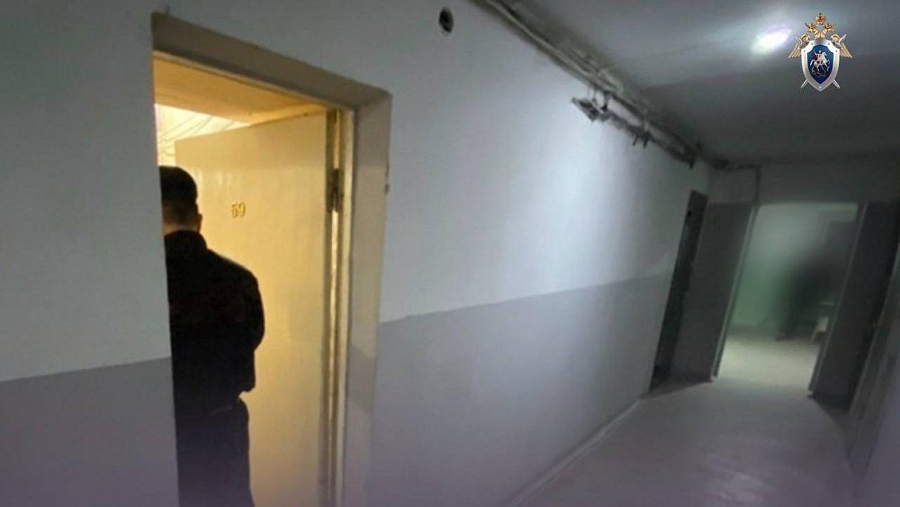 В Челябинске вынесли приговор женщине, забившей ножом случайного гостя