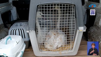 В южноуральском заказнике выпустили спасенных животных