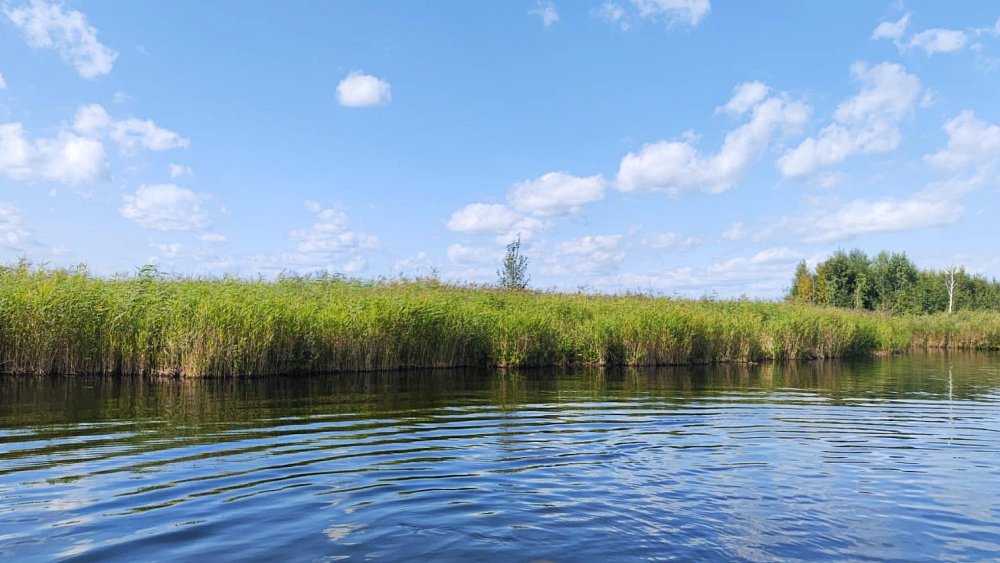 В Башкирии завершили поиски магнитогорца, пропавшего во время подводной охоты