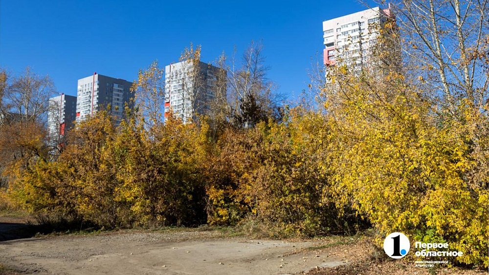 В сентябре-2025 южноуральцев ждут два бабьих лета